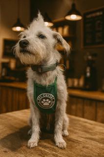 Halloween dog or cat barista apron