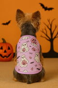 Halloween dog or cat outfit
