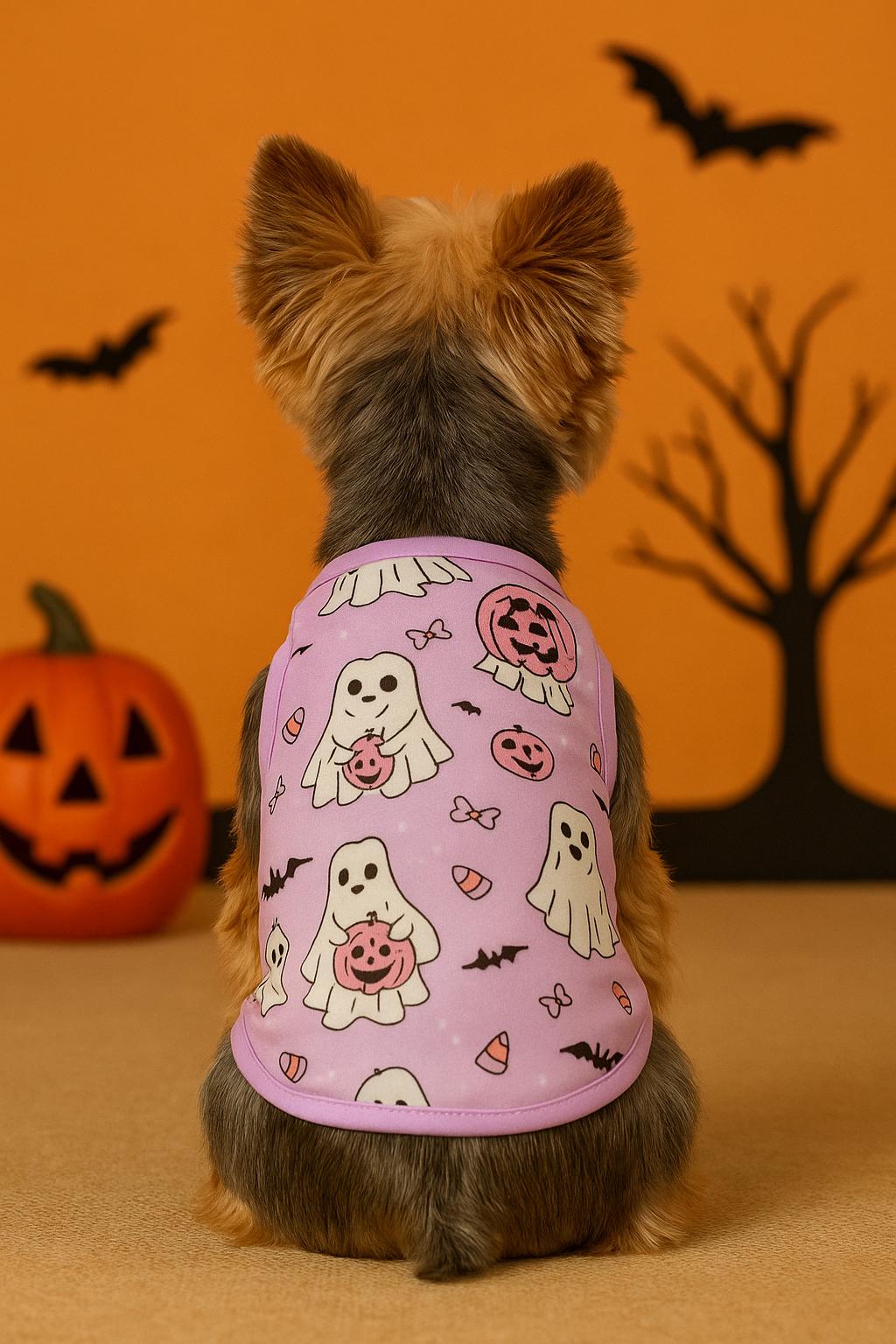Halloween dog or cat outfit