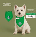 Coffee Barista pet bandana| Starbucks bandana