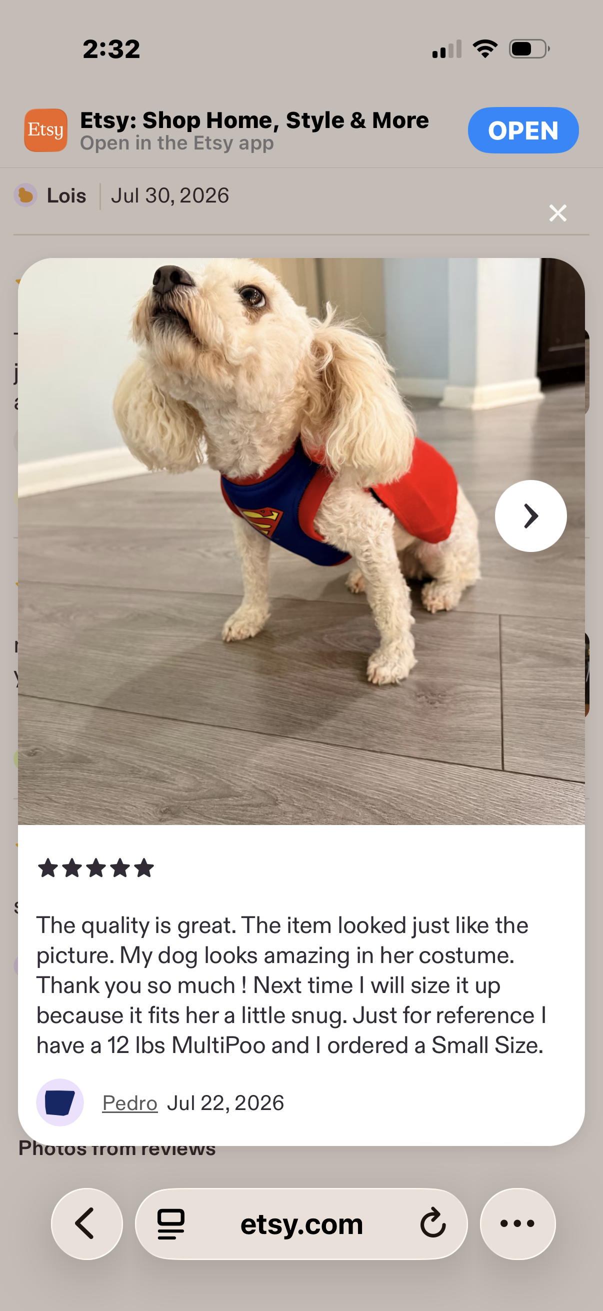 Superhero Dog Costume with Cape – Halloween Pet Costume for Small Dogs