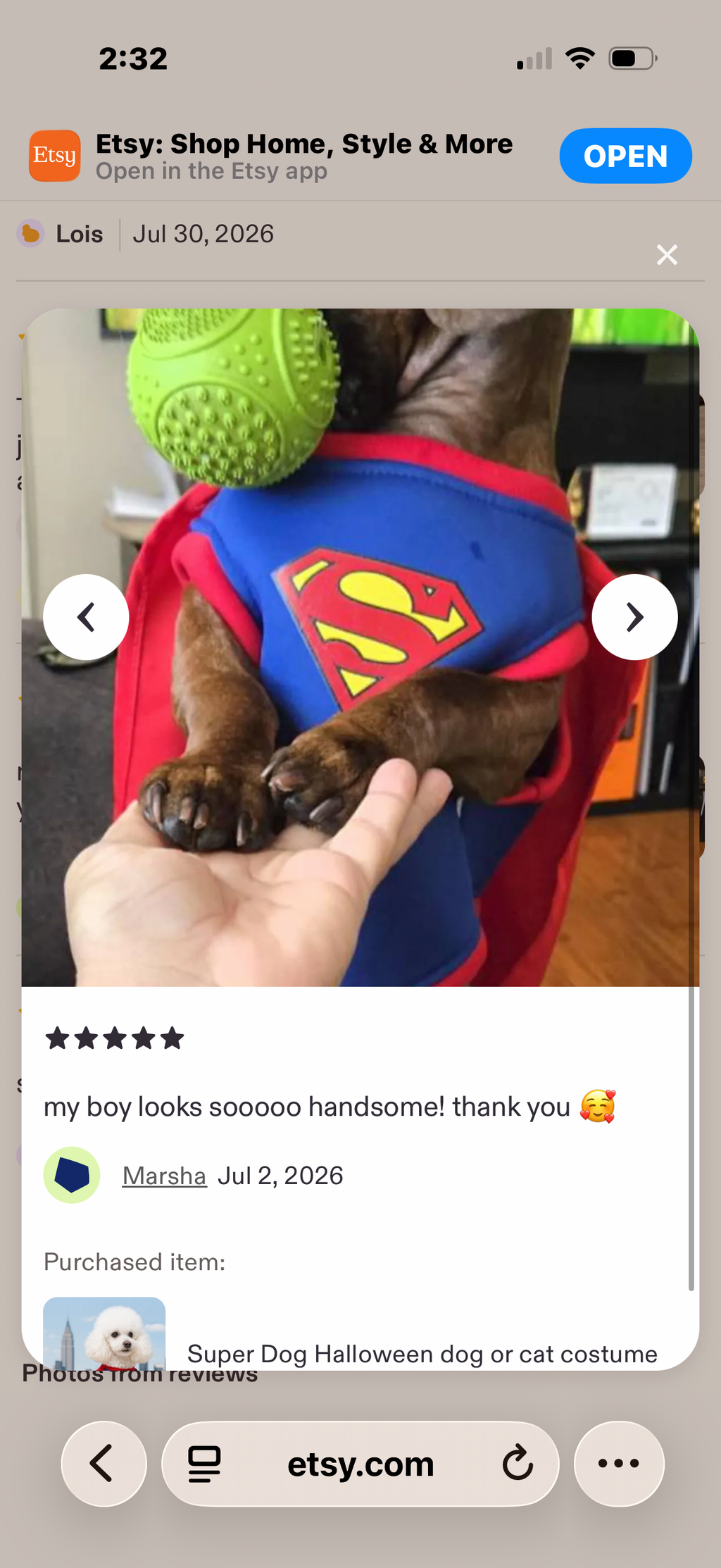 Superhero Dog Costume with Cape – Halloween Pet Costume for Small Dogs