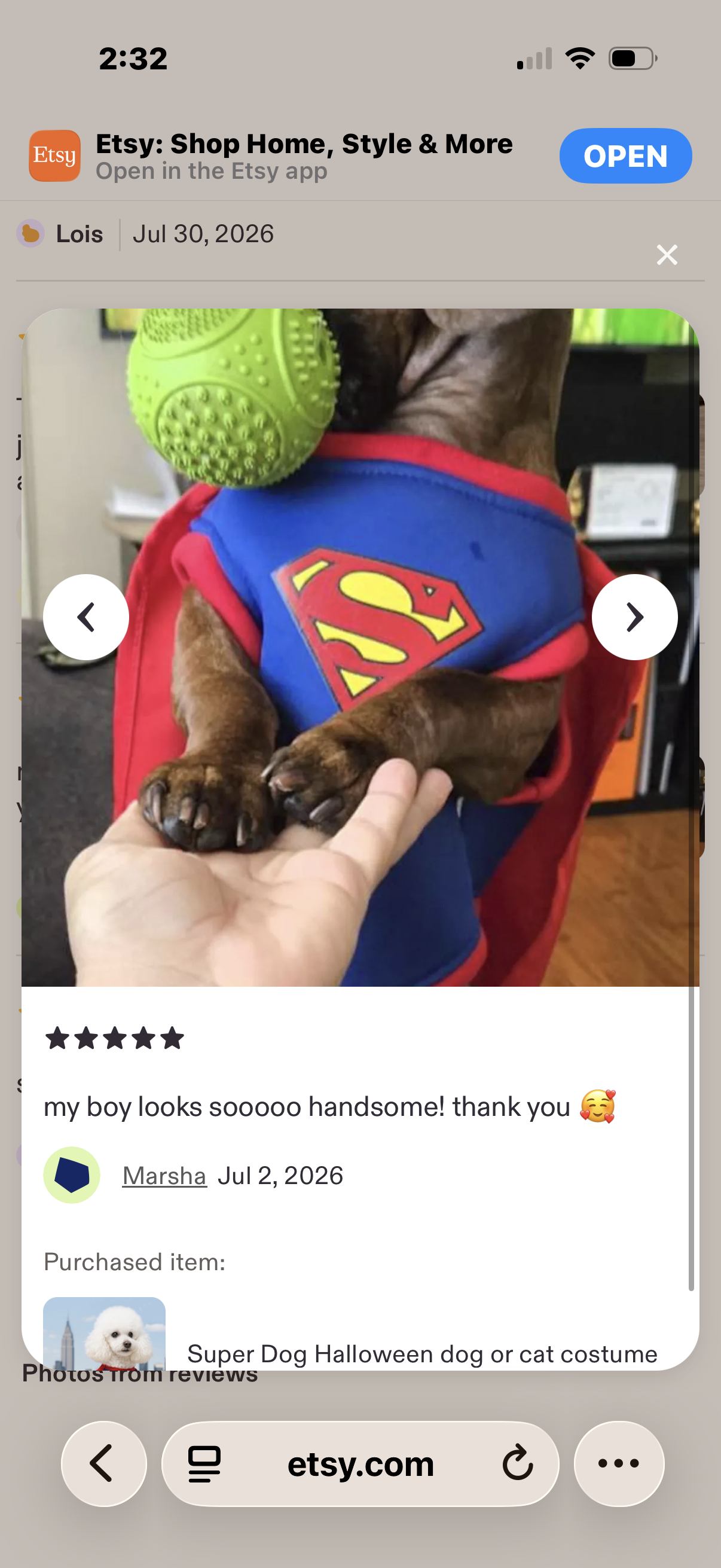 Superhero Dog Costume with Cape – Halloween Pet Costume for Small Dogs