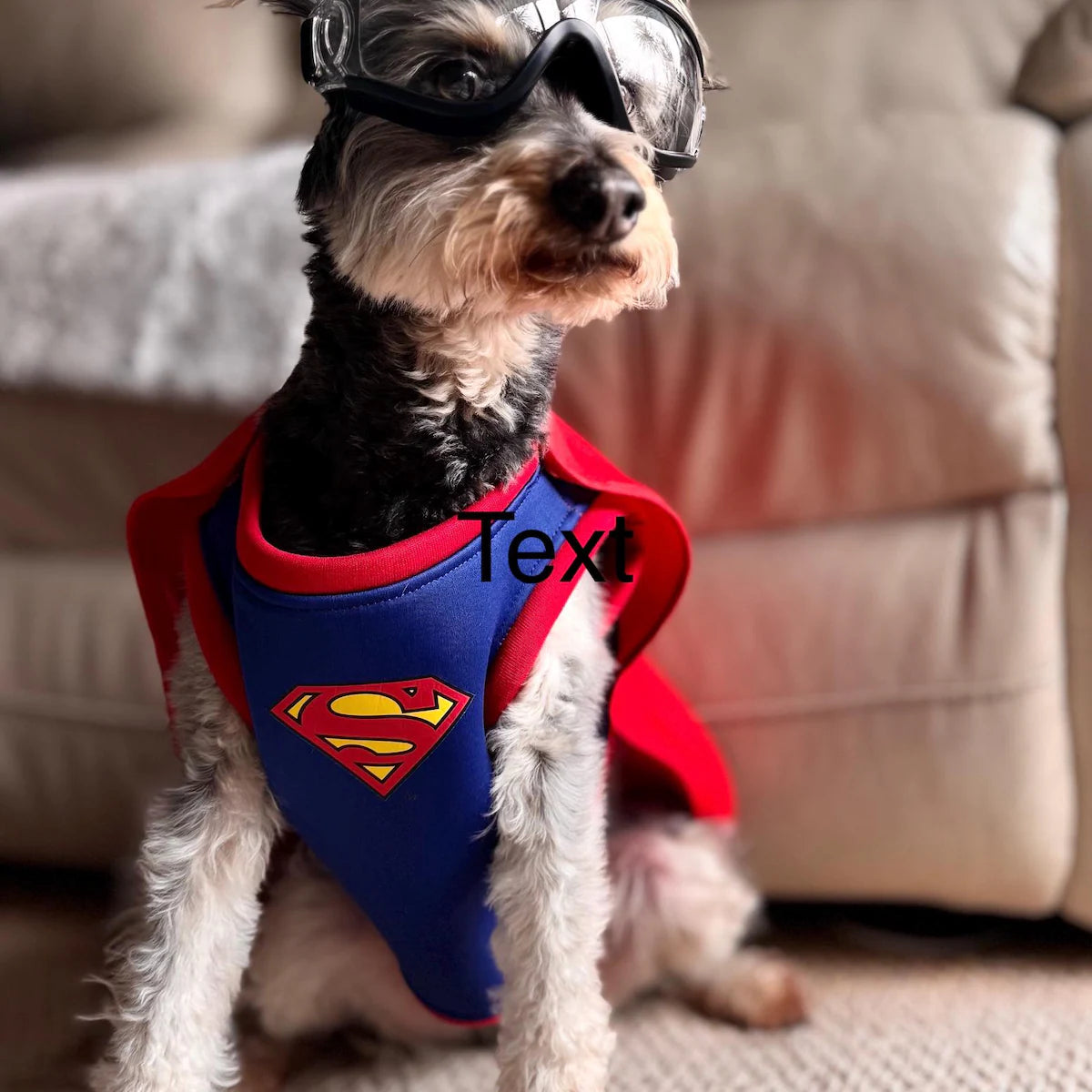 Superhero Dog Costume with Cape – Halloween Pet Costume for Small Dogs
