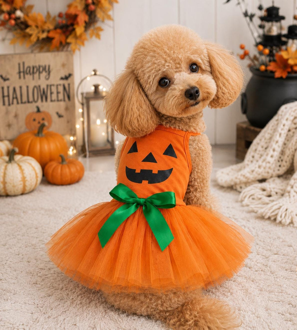 Pumpkin Dog Dress, Halloween Dog Costume, Orange Tutu Pet Dress with Green Bow, Jack O Lantern Costume, Small Dog Halloween Outfit