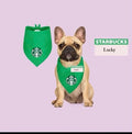 Coffee Barista pet bandana| Starbucks bandana