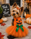 Pumpkin Dog Dress, Halloween Dog Costume, Orange Tutu Pet Dress with Green Bow, Jack O Lantern Costume, Small Dog Halloween Outfit