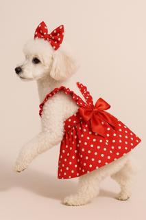 Dog valentines dress, elegant dog dress, Minnie dog dress