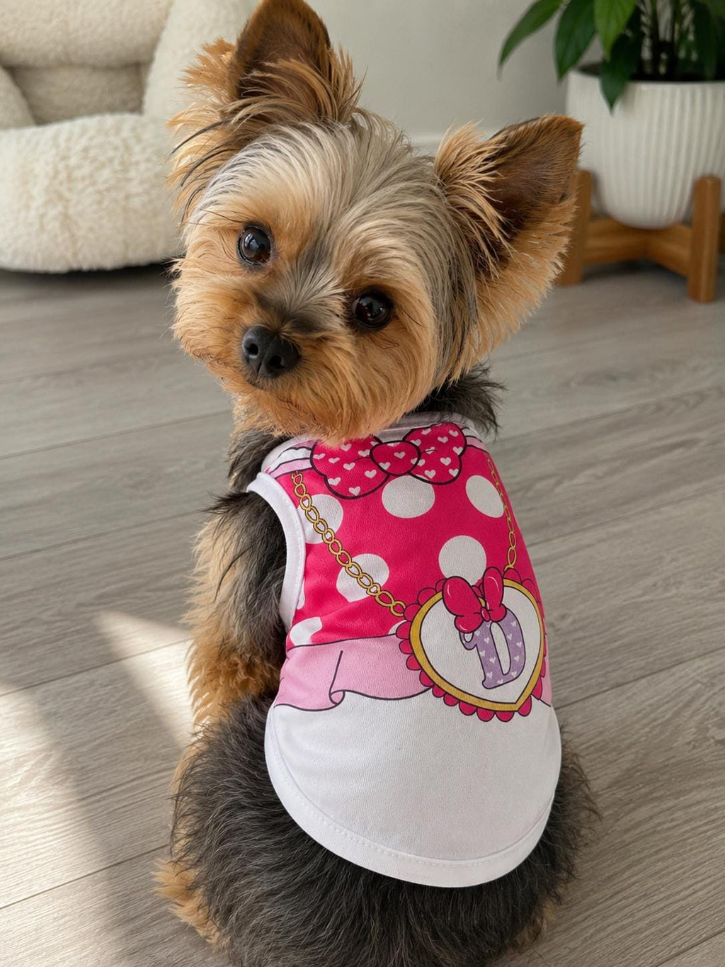 Adorable character inspired dog costumes
