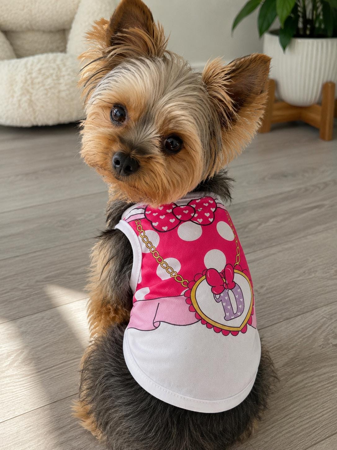 Adorable character inspired dog costumes