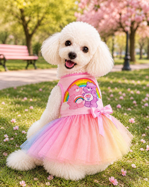 Care Bear-Inspired Pet Outfit
